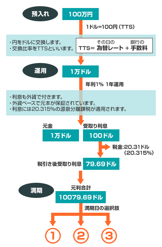 外貨預金の運用の実際（米国ドルの場合）